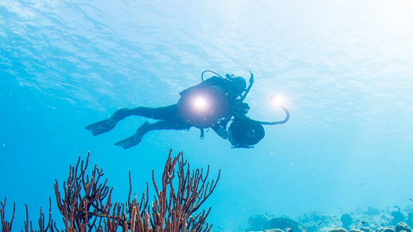 PADI Digital Underwater Photographer Course